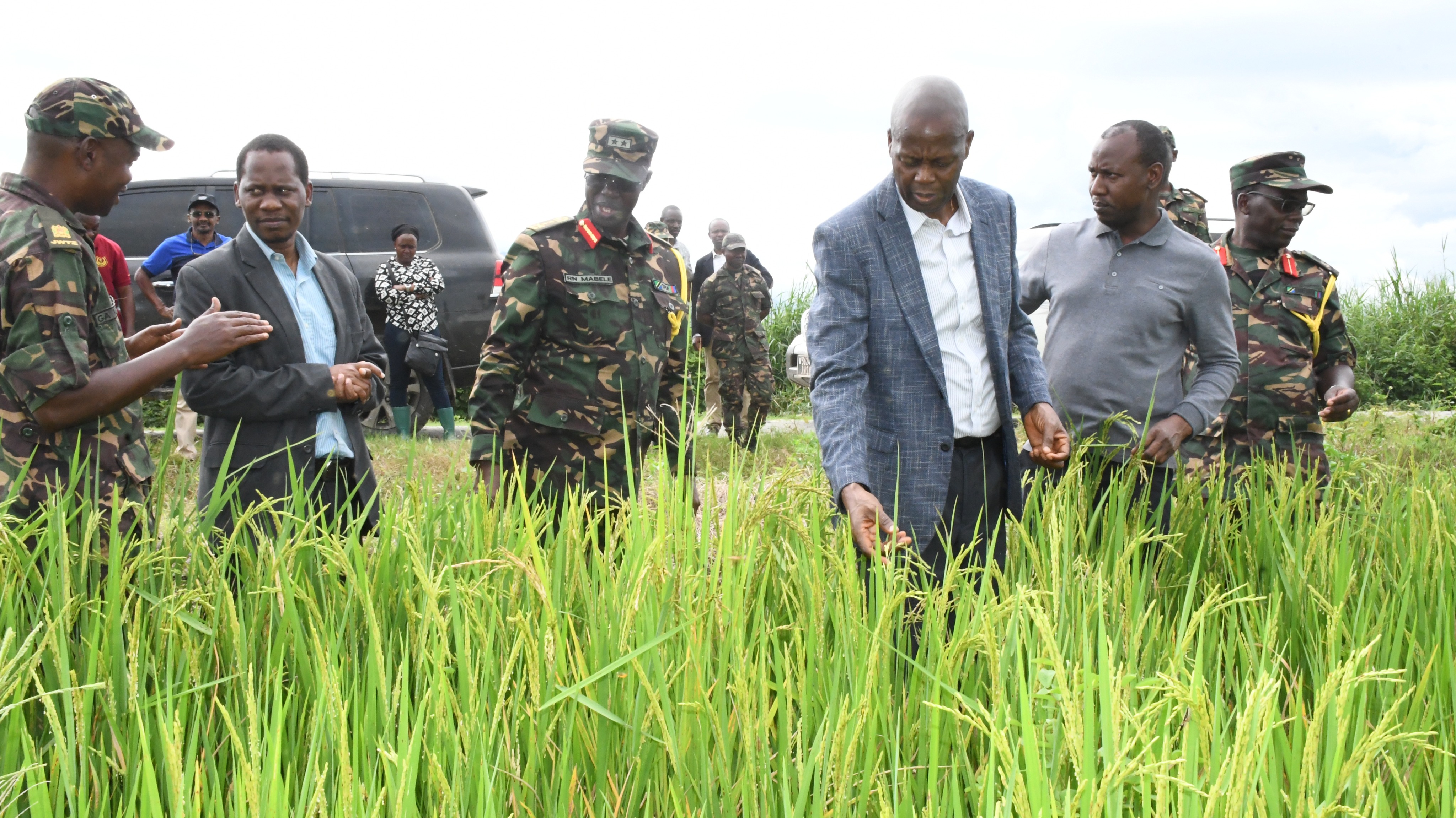 KATIBU MKUU KILIMO AWATAKA JKT KULIMA MBEGU BORA